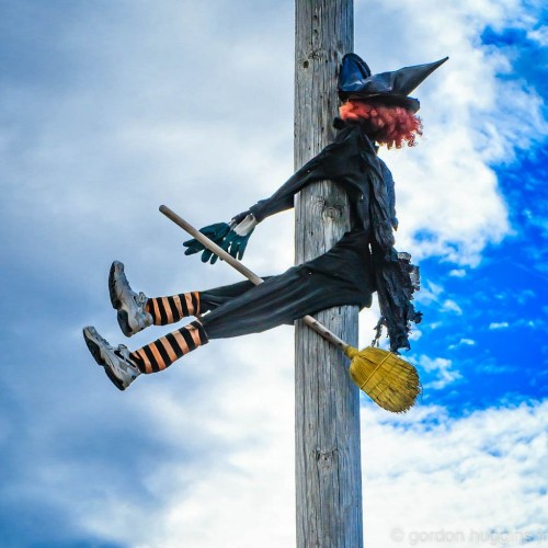 Everyyear-this-witch.jpg